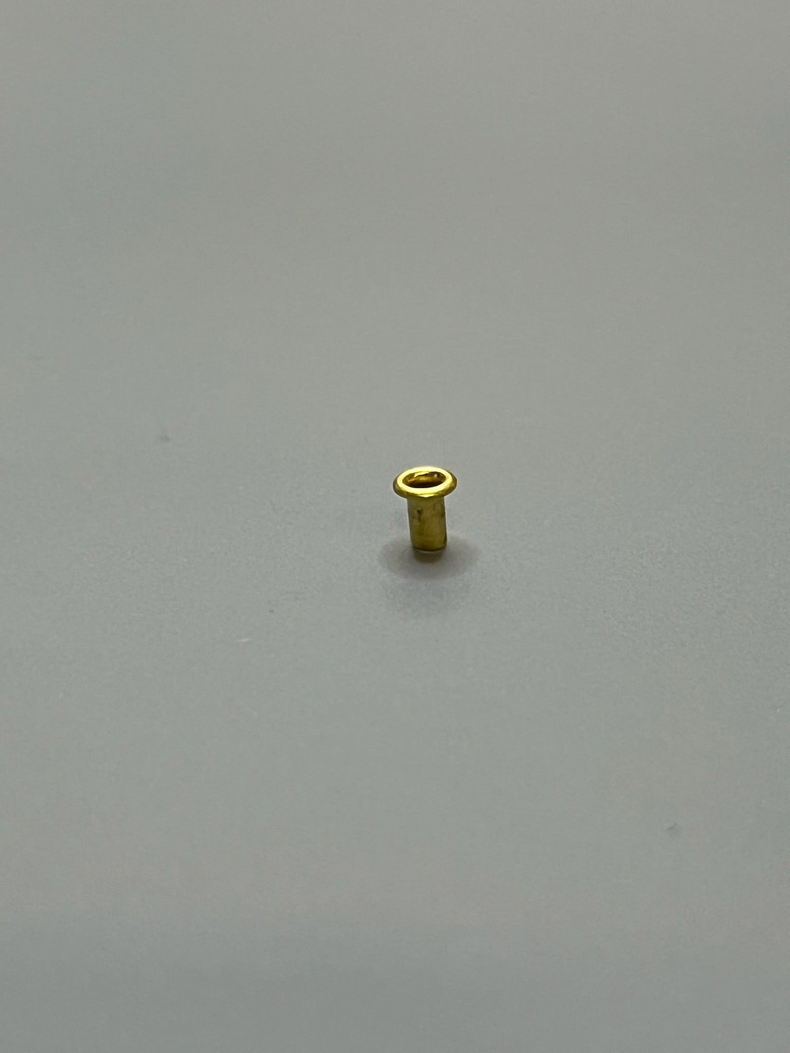 Gold rivet 4E7A0524-7E8D-4B81-A80C-1B8B5B9087E5 on gray background