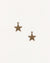 Etched Star Charm, 14x13mm, (2pcs)