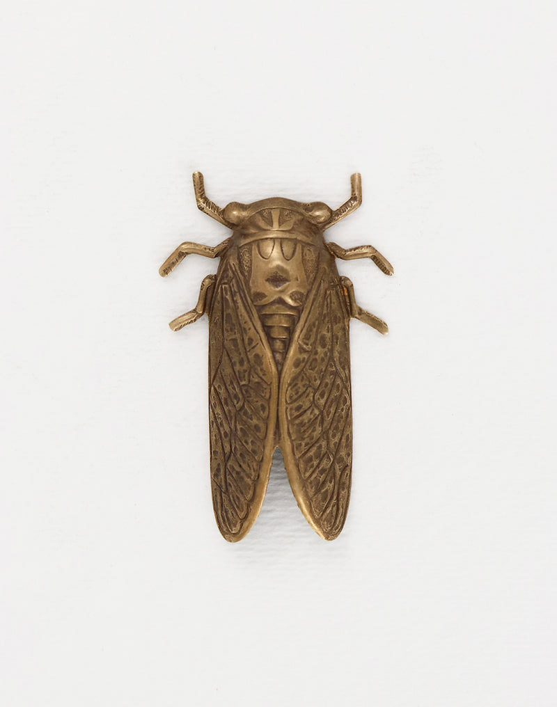 Cicada, 50x31mm, (1pc)
