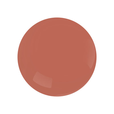 Antique Swatch 13 Brick Red Color Dot