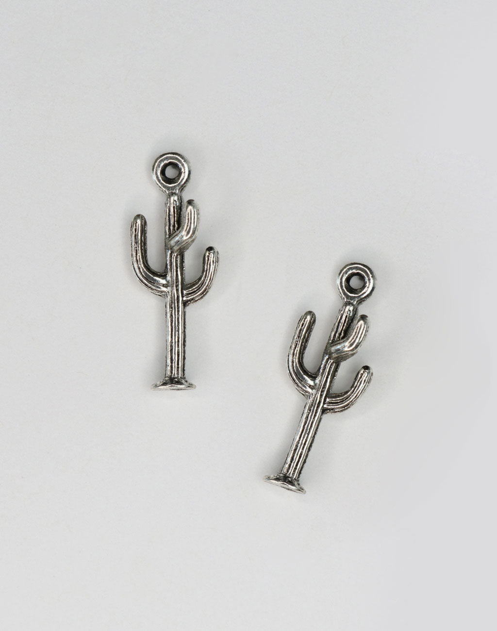 PT437-060 Silver Cactus Charms
