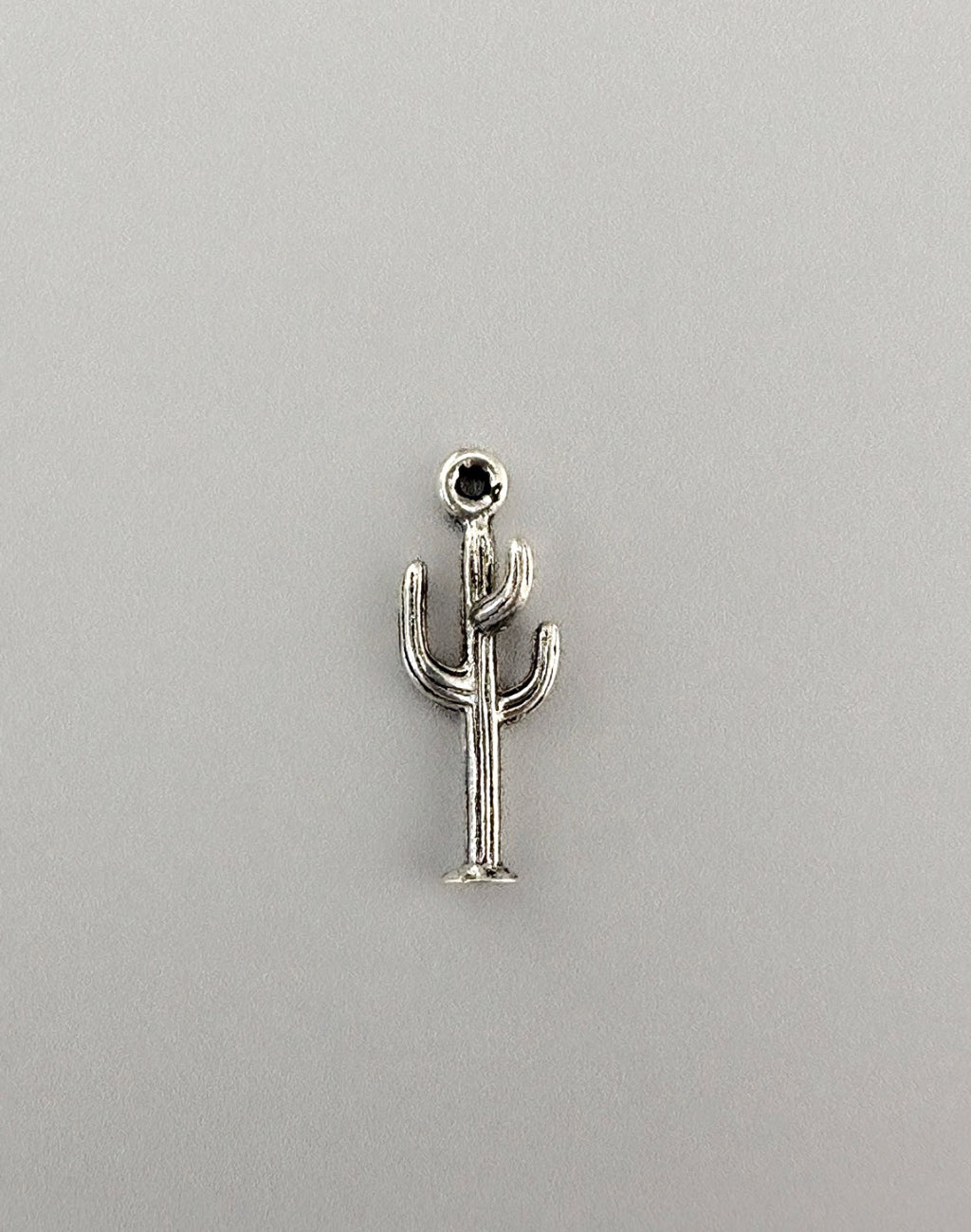 Silver cactus charm for website product.
