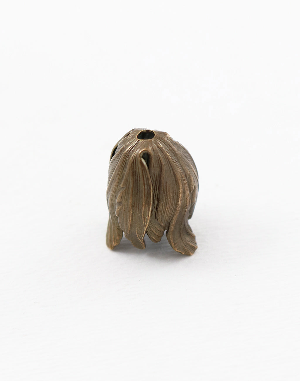 Bronze flower bud detail on white background.