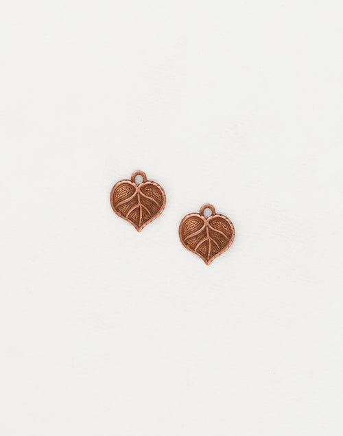 Botanical