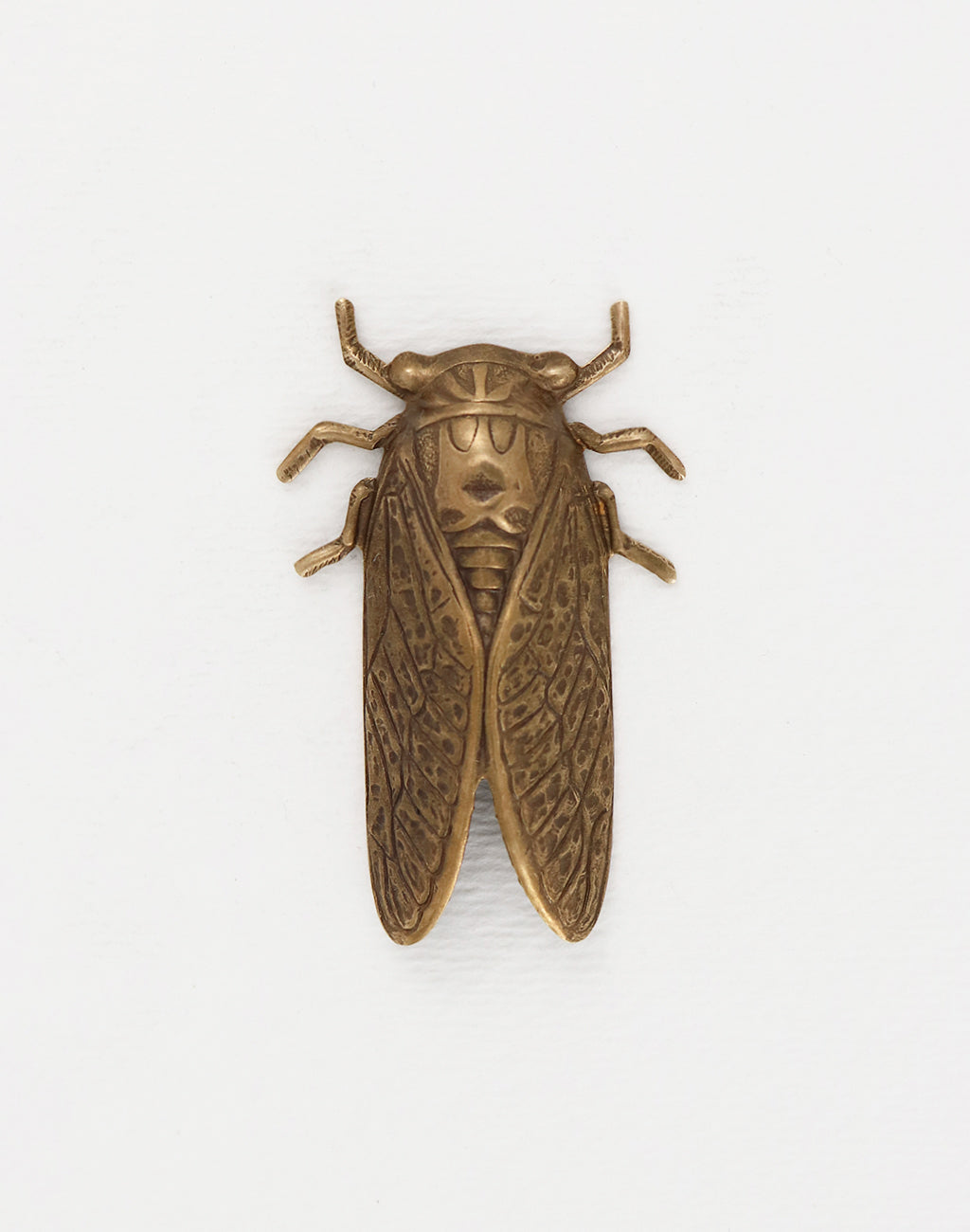 Cicada, 50x31mm, (1pc)