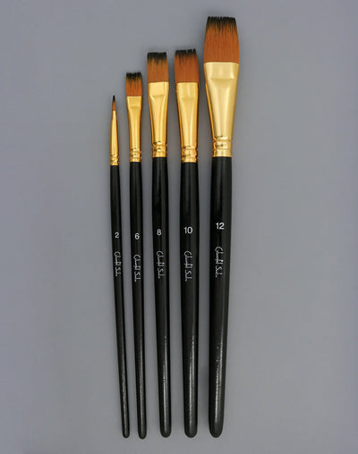 Bristle brush set for painting, various sizes