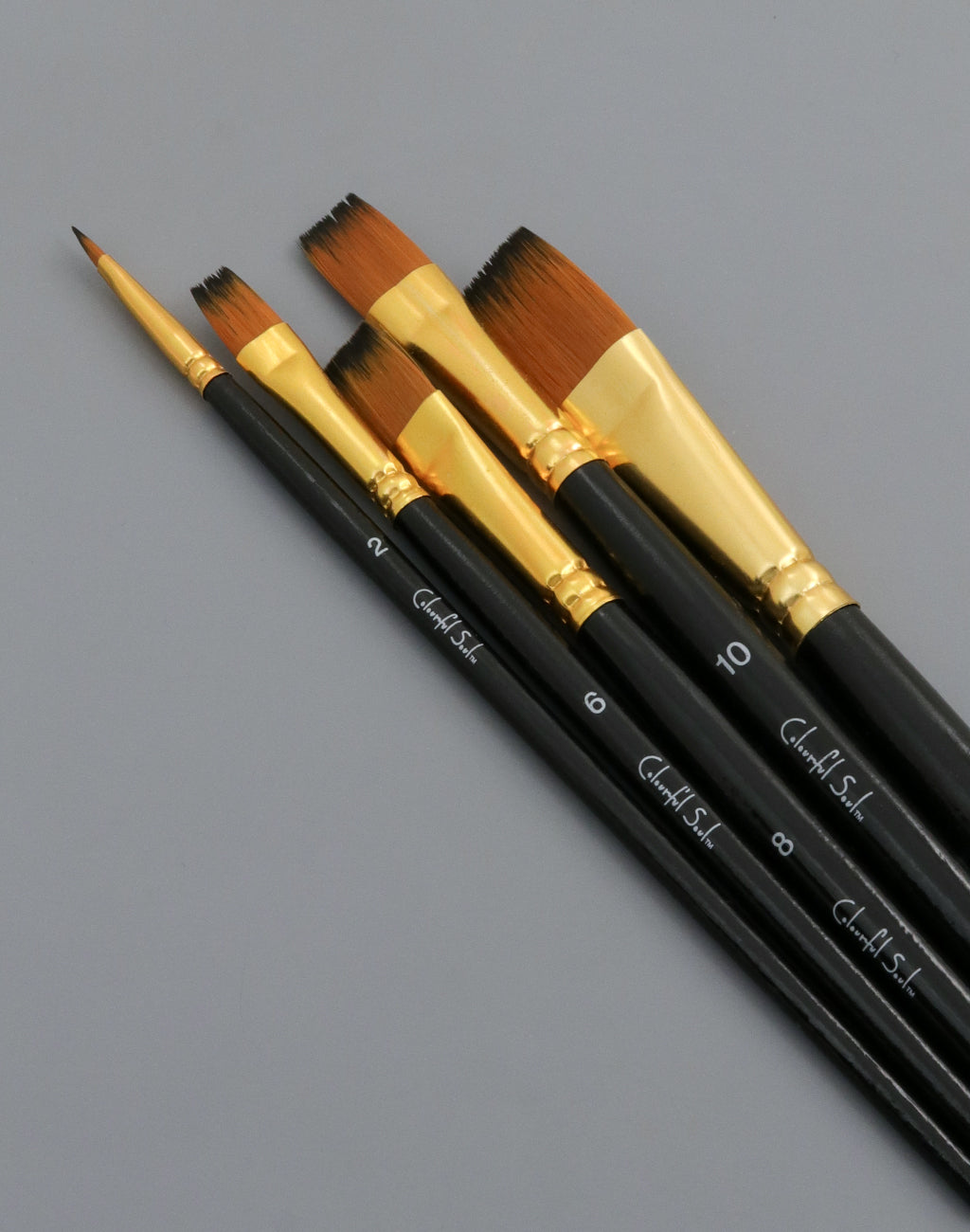 Bristle brush set for painting, various sizes