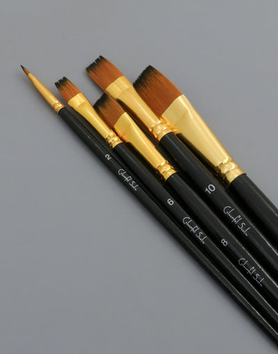 Bristle brush set for painting, various sizes