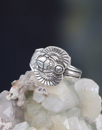 Silver scarab ring on rock