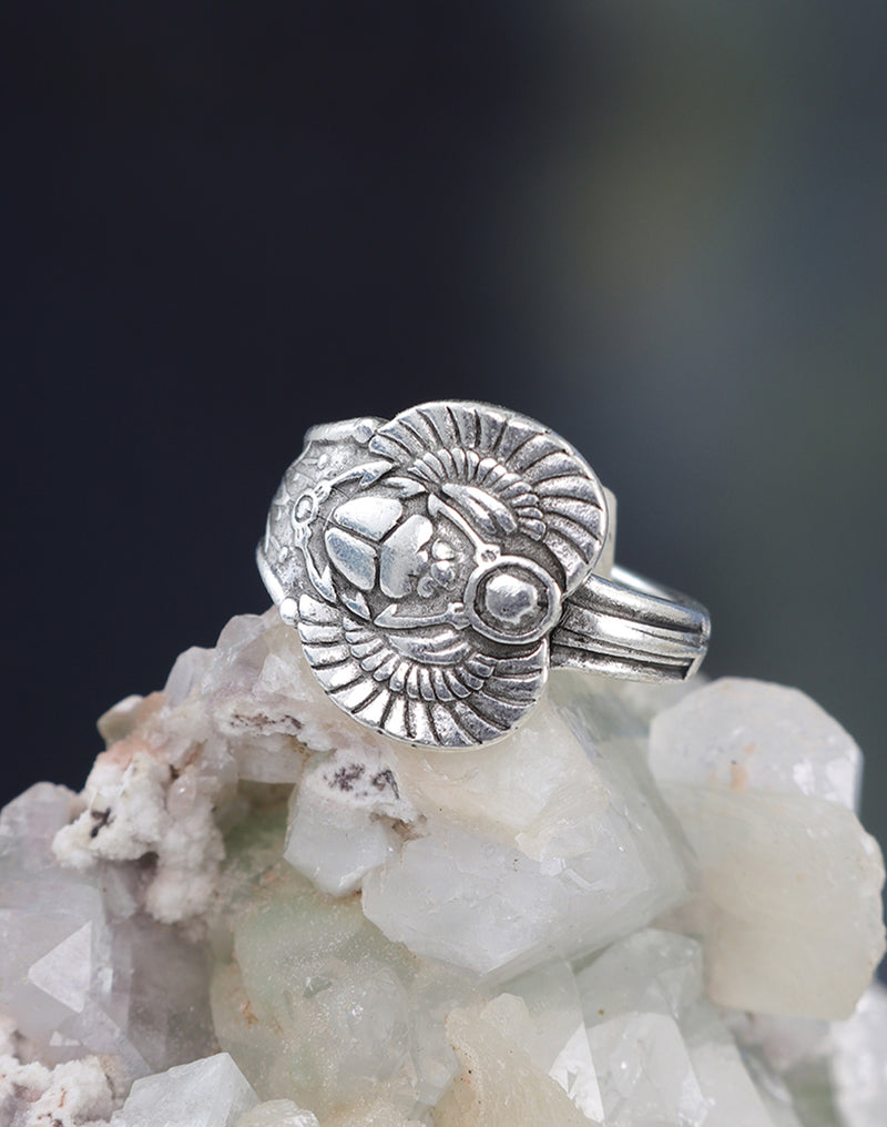 Silver scarab ring on rock