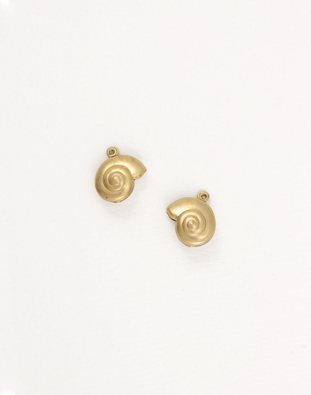 Natica Shell, 17x15mm, (2pcs)